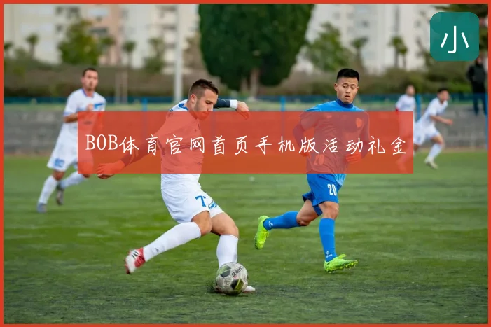 BOB体育官网首页手机版活动礼金