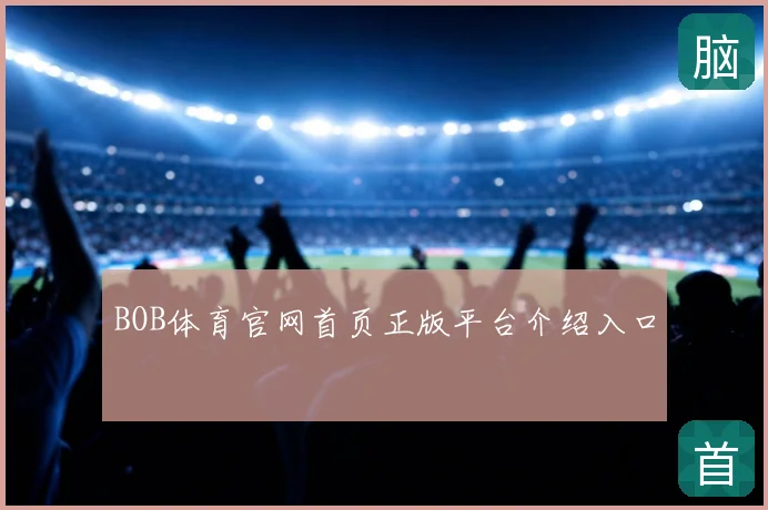 BOB体育官网首页正版平台介绍入口